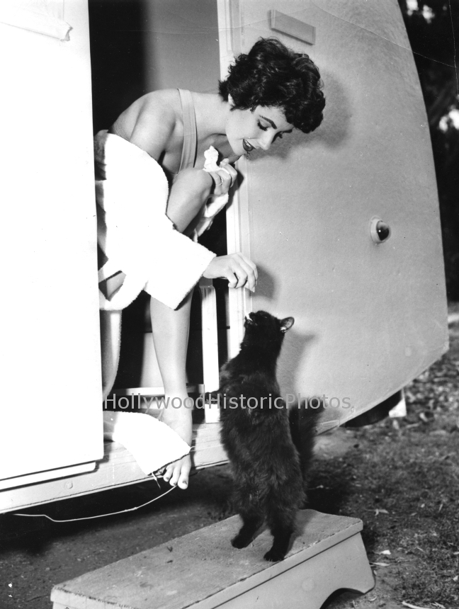 Elizabeth Taylor 1953 On location with her cat.jpg